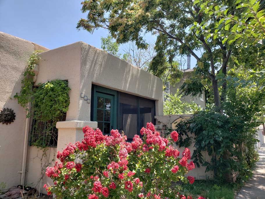 Front of the house