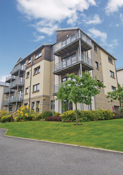 1 Bedroom Apartment - Hilton Campus