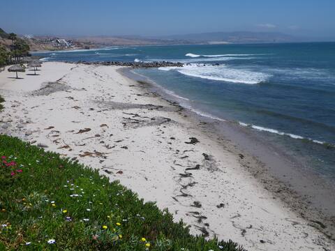 Circa Del Mar