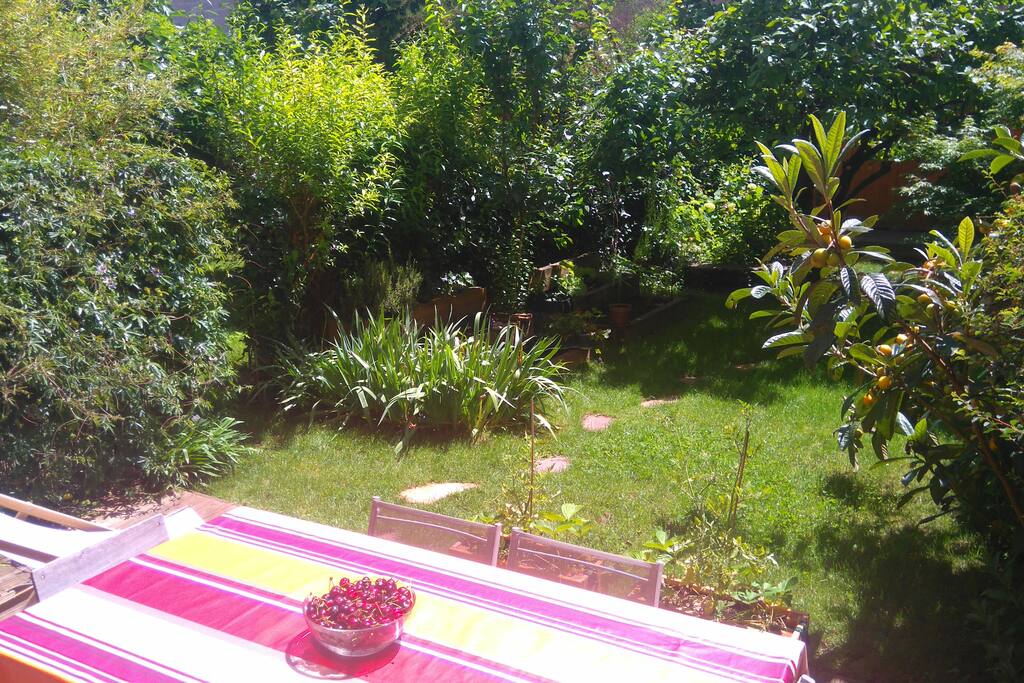 Jardin