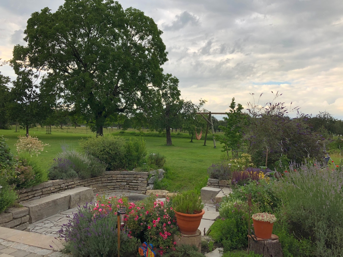 A serene outdoor garden area is surrounded by lush greenery and diverse plants. A pathway made of stone leads through vibrant flower beds to a grassy expanse, where a large tree provides shade. In the distance, a swing can be seen hanging from another tree.
