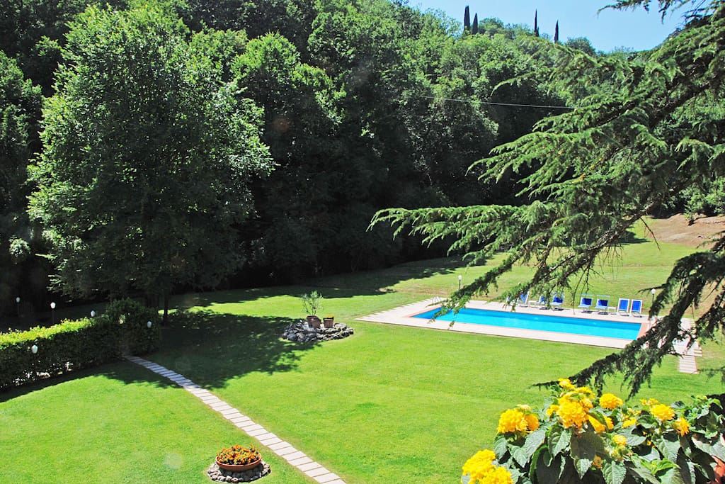Garden and pool