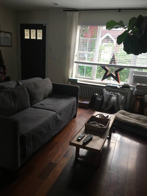 Living Room with Queen Sofa Bed