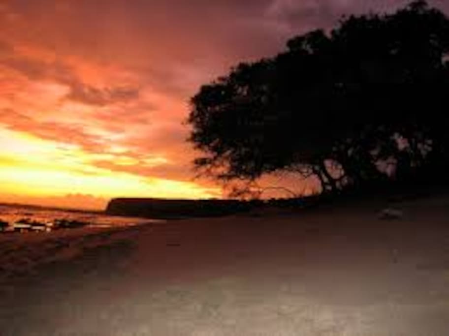 endless beaches around us