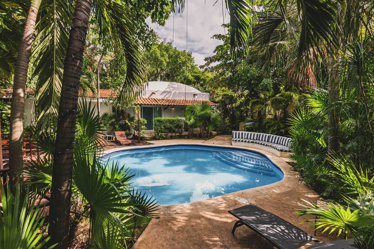 A circular swimming pool is surrounded by lush greenery and tropical plants. Sun loungers are positioned on the pool deck, providing a space for relaxation. The tranquil setting features a mixture of shadows and sunlight filtering through the trees, with a glimpse of a building in the background.