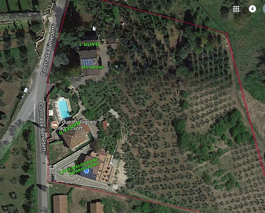 vista aerea della proprietà "I DUE MELOGRANI" con distinta