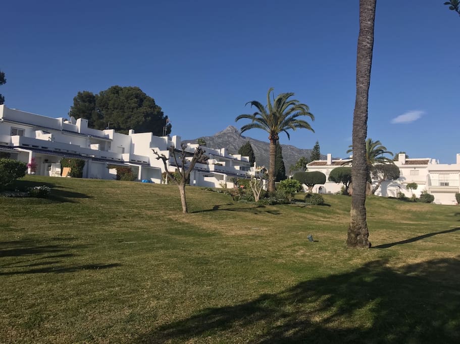 Beautiful view of La Concha from the garden