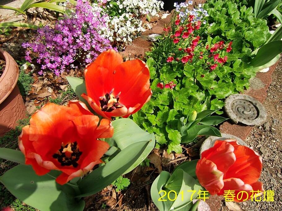 春夏の花壇にはお花がたくさん