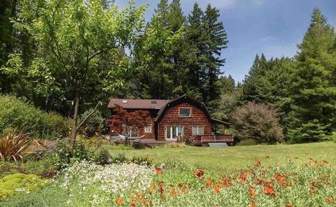 Log Cabin Chalet with Hot Tub, Sauna, & Redwoods!