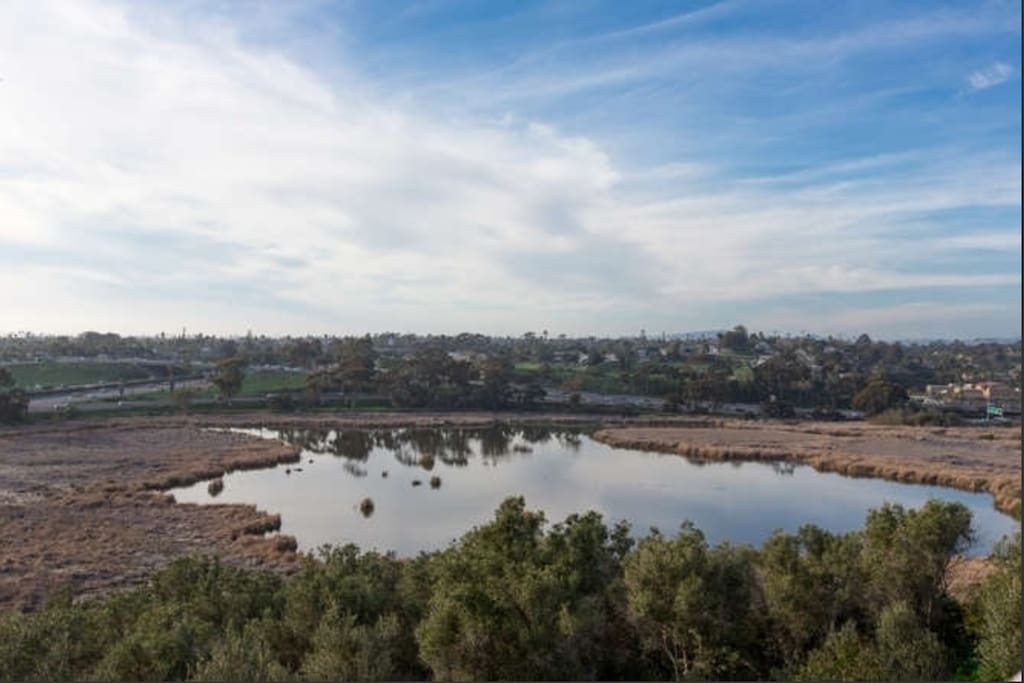 Excellent views of Buena Vista lagoon.