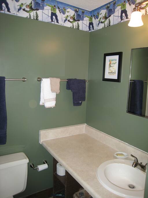 Guest Bath