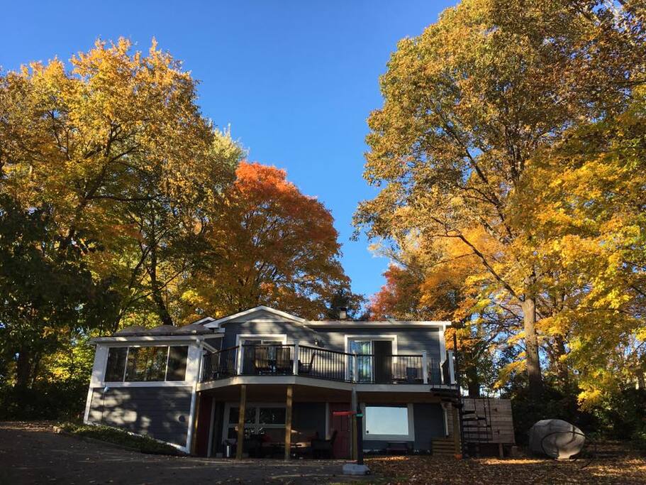 Back of House