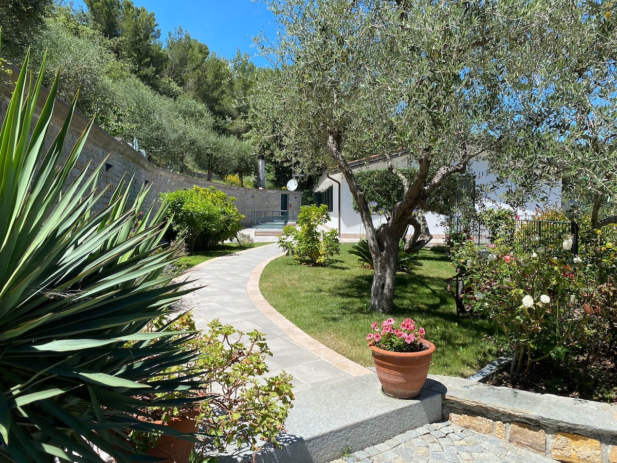 A winding stone pathway is flanked by various plants and flowering shrubs. Olive trees provide shade, while a white building is visible in the background. The manicured lawn offers a serene environment, illuminated by bright sunlight filtering through the trees.