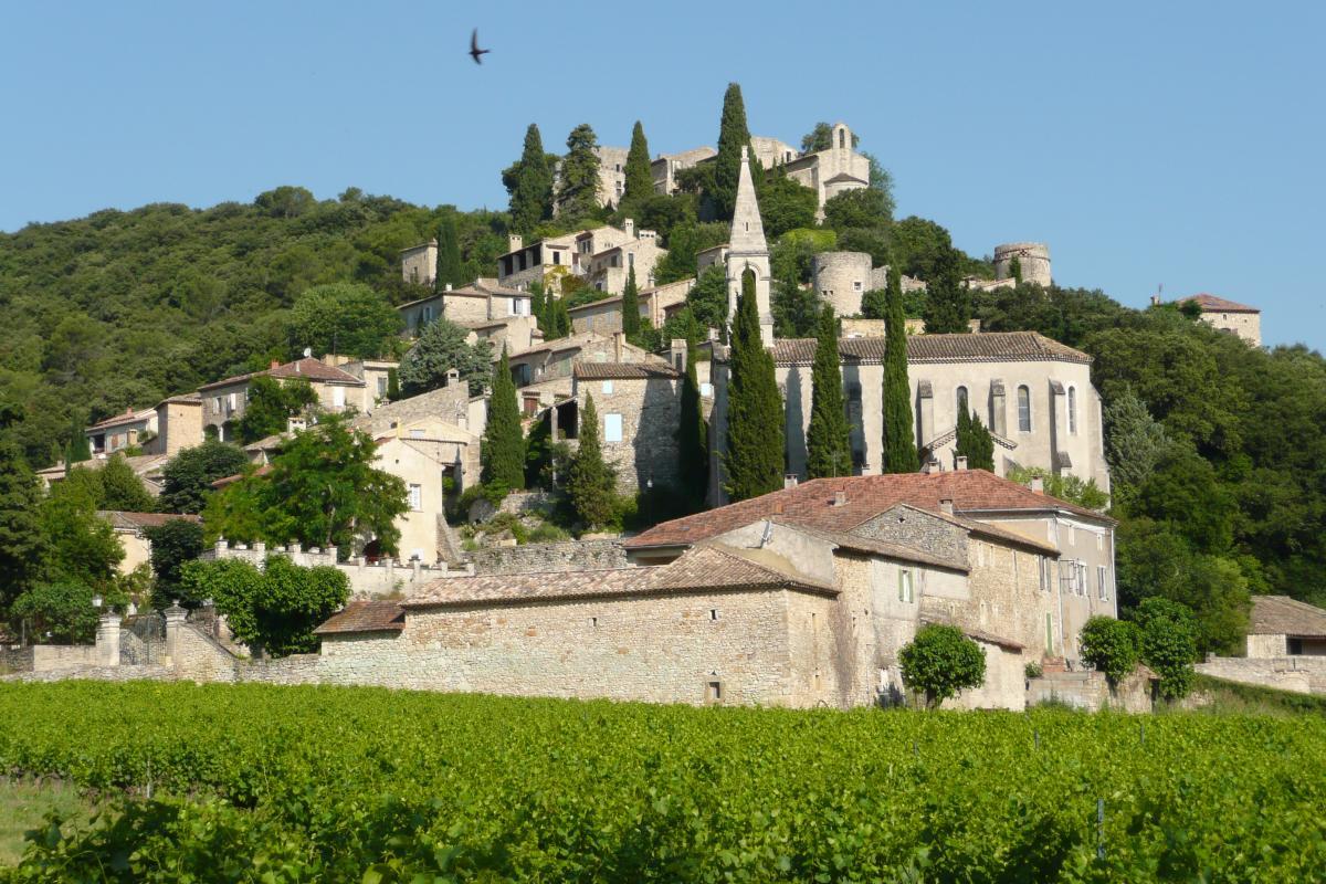 A quaint village is set atop a hillside, showcasing a collection of stone buildings with terracotta roofs and a prominent steeple. Lush greenery surrounds the structures, with grapevines sprawling across the foreground. The landscape embodies a serene rural atmosphere.