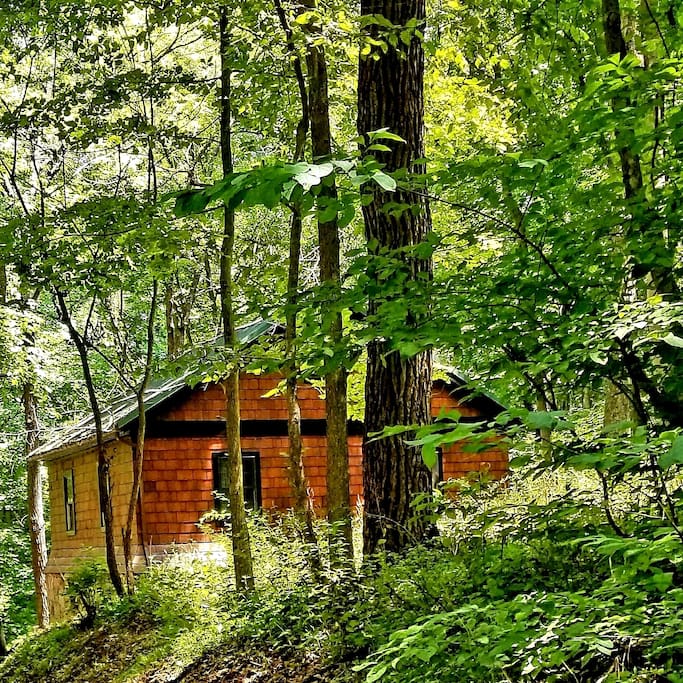 Cabin in the woods.