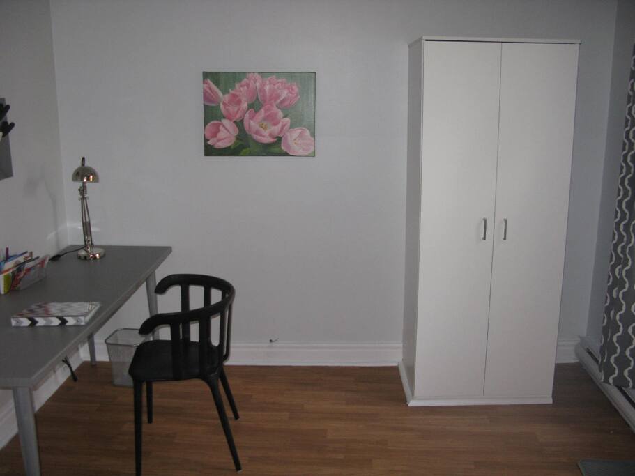 la pièce en entrant dans le logement avec rangement