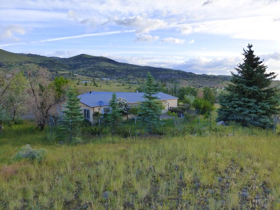 Our home nestled amongst its lovely trees.