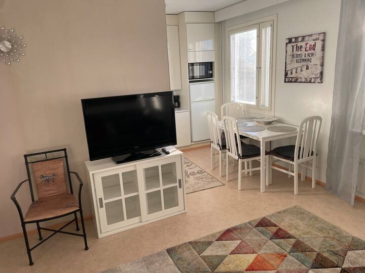 Top 10 Airbnb Vacation Rentals In Tornio, Finland Updated 2024 Trip101