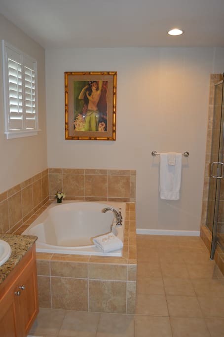 Master bath with large soaking tub