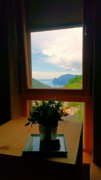 The view from the room