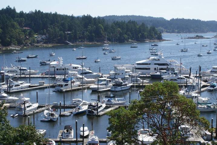 Ocean View Apartment Salt Spring Island – Unit 203 gallery image 3