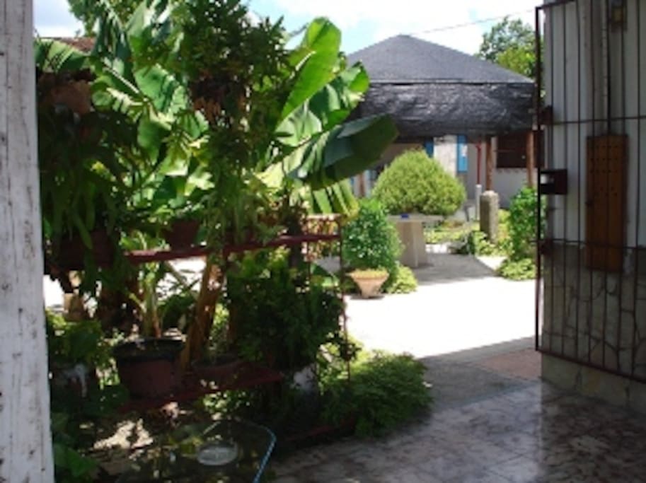 Patio