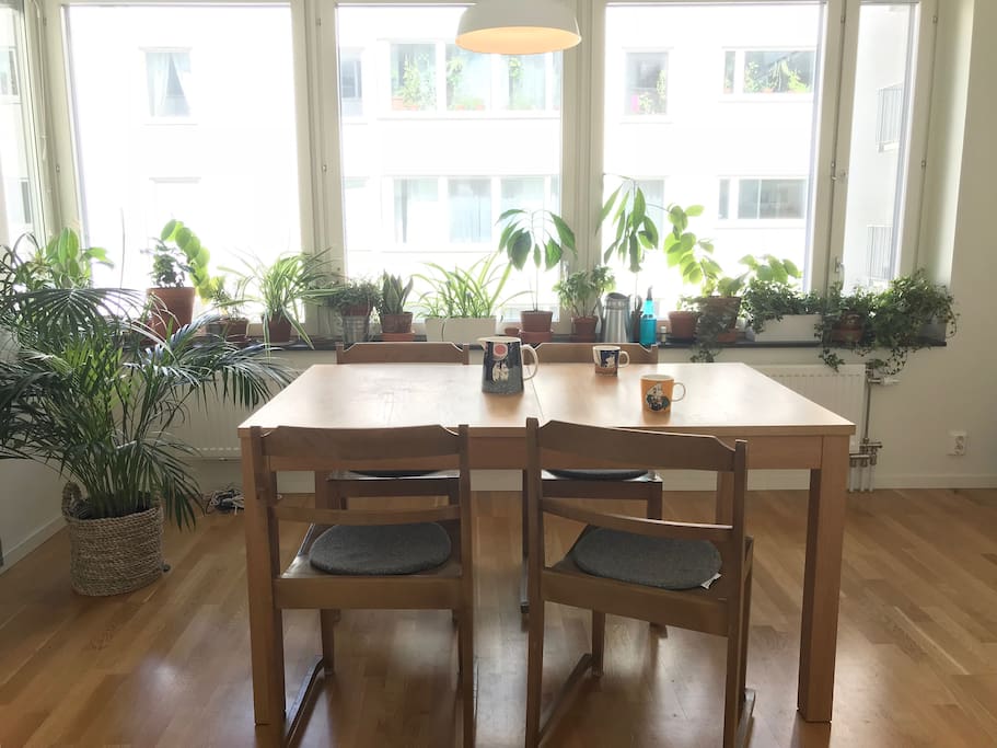 The kitchen table and all the plants are ready to welcome you for your breakfast or snack.
