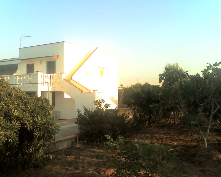 il giardino