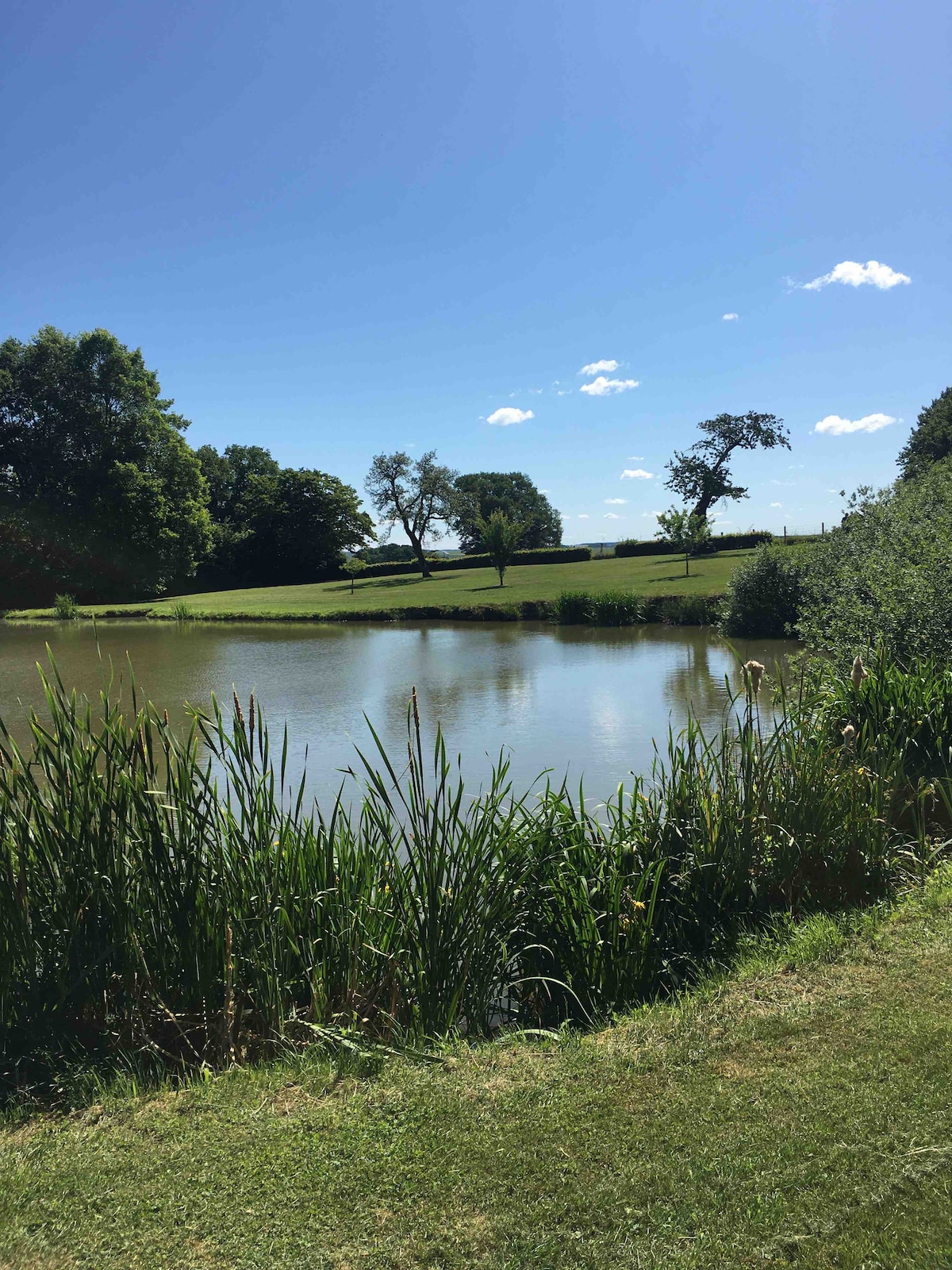 A serene pond is framed by lush greenery and tall grasses. Clear blue skies are reflected in the water, while scattered clouds add light contrast. The surrounding landscape includes rolling fields and scattered trees, all contributing to a peaceful rural setting.