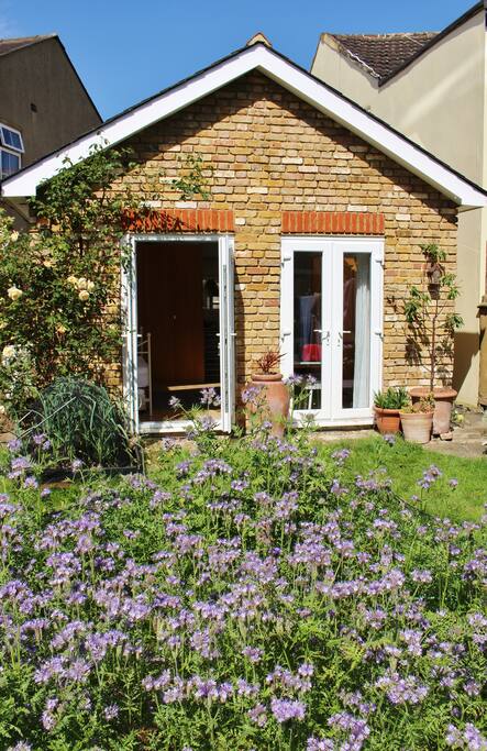 South-facing view of the studio from hosts' garden (not part of your rental, but you can open your double doors for ventilation and watch the bees and butterflies buzz about)