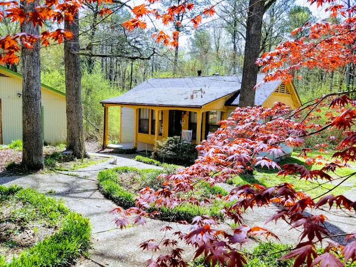 Pinnacle Mountain State Park Holiday Rentals & Homes Arkansas, United