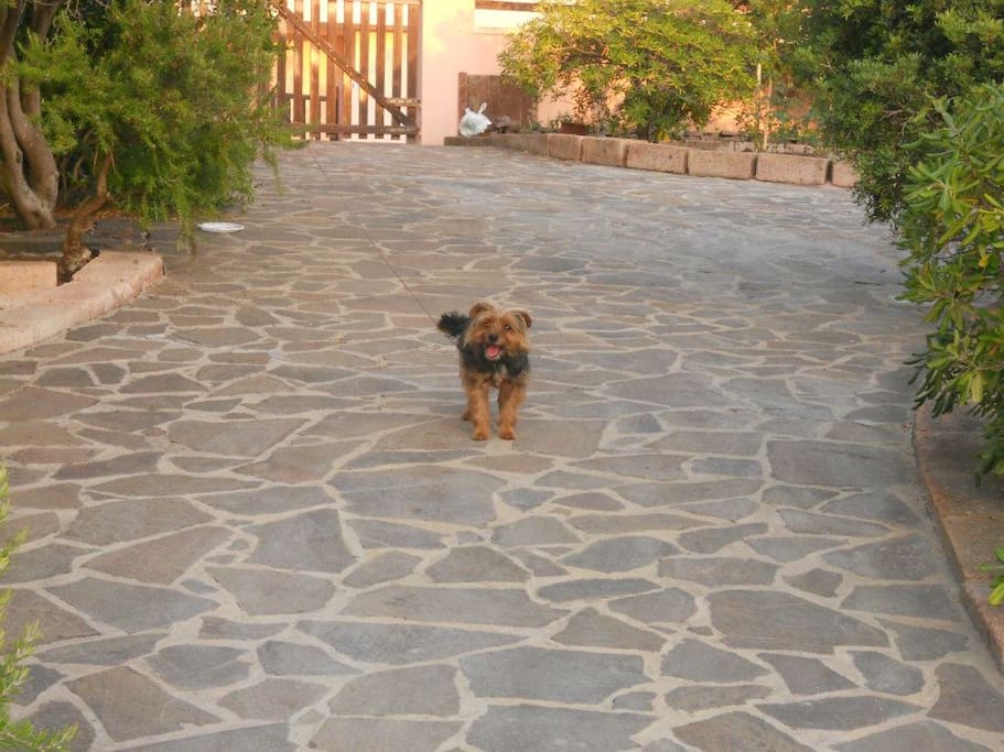 ingresso con giardino e Rocky