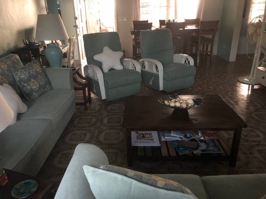 Hide-a-bed sofa is on left.
