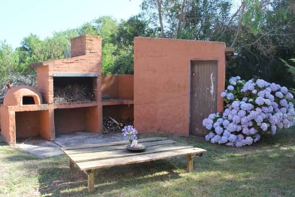 Yard, grill, and shed
