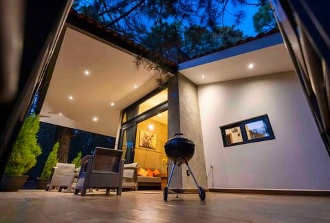 Warm and modern cabin amongst pines and grass