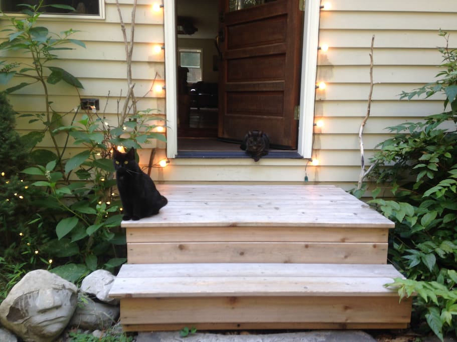 Kitty friendly...and dogs welcome too!