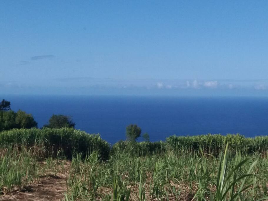 Vue mer