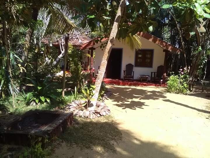 A charming cabin is set among lush greenery, featuring a welcoming porch with two chairs. The sandy area in front allows space for relaxation, while tropical plants and trees provide natural shade and privacy. A small fire pit is visible on the ground.