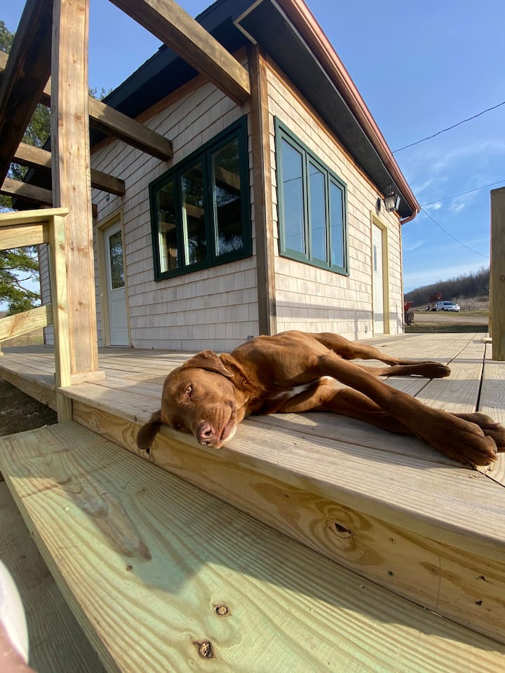 McArthur Vacation Rentals & Homes Ohio, United States Airbnb