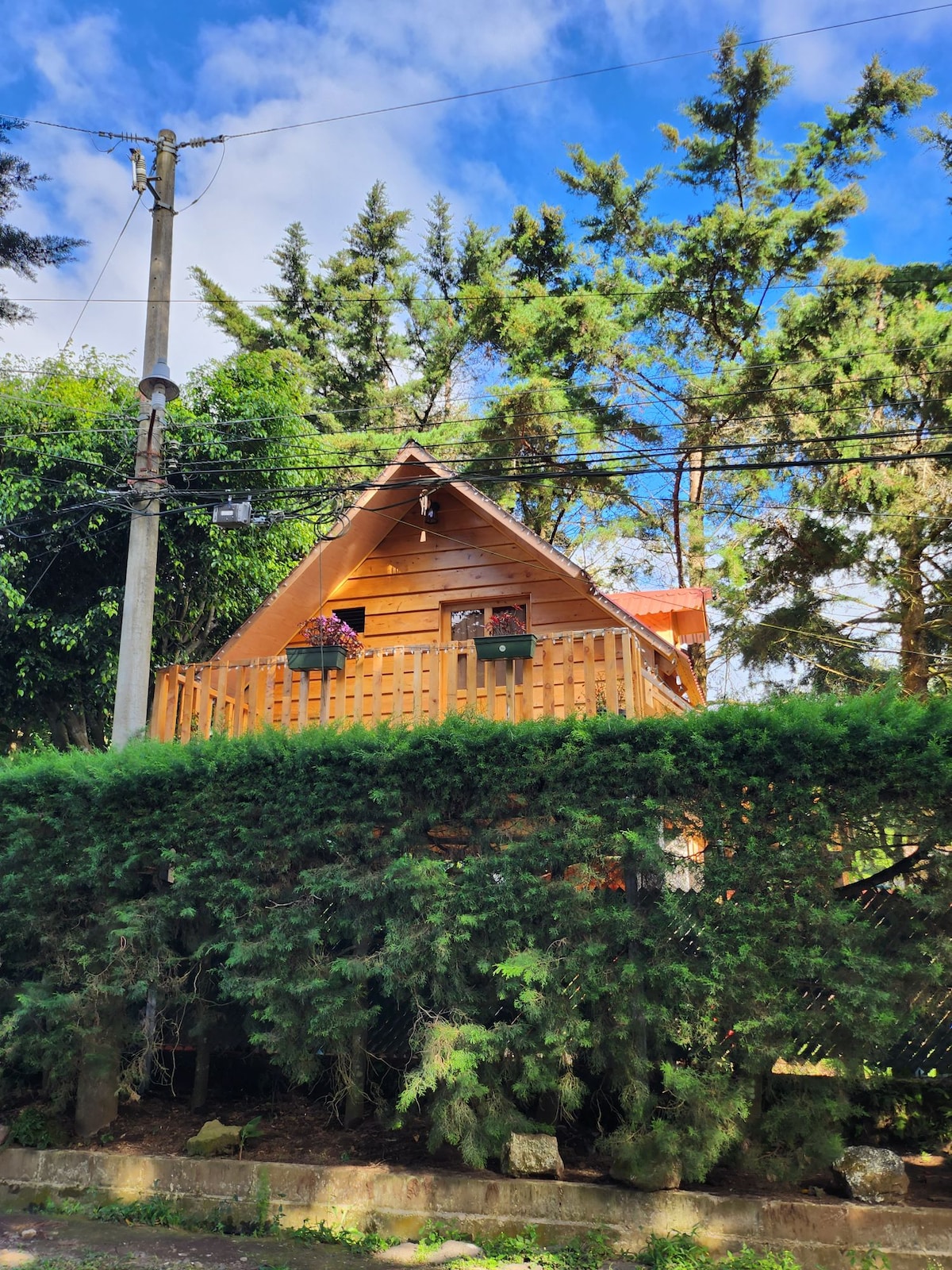 A wooden cabin with a pitched roof is framed by tall trees and shrubs, providing a sense of privacy. The balcony is adorned with potted plants, and the overall structure appears harmonious with the natural surroundings under a blue sky.