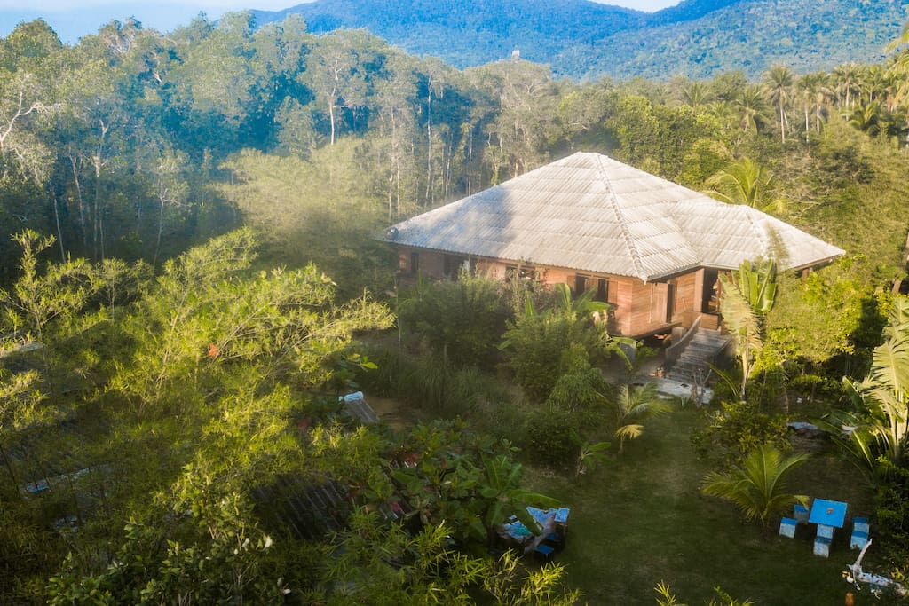 Calmness in the jungle, but close distance to main centre of interest
