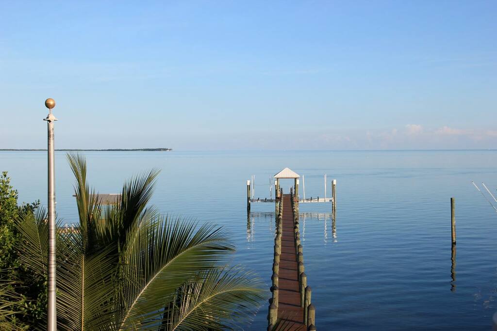 Dock View
