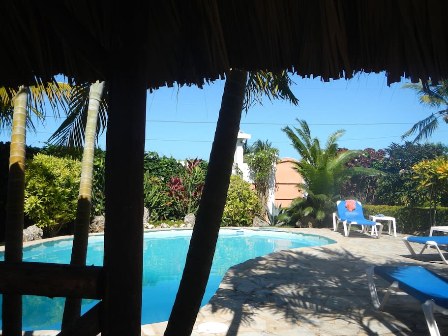 TiKi lounge view to pool