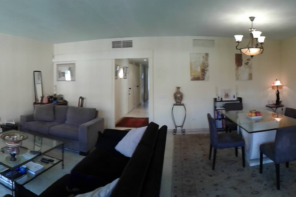The spacious living room