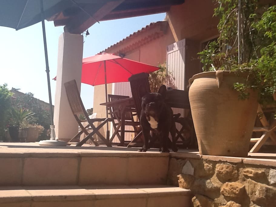 La terrasse ´ devant la maison