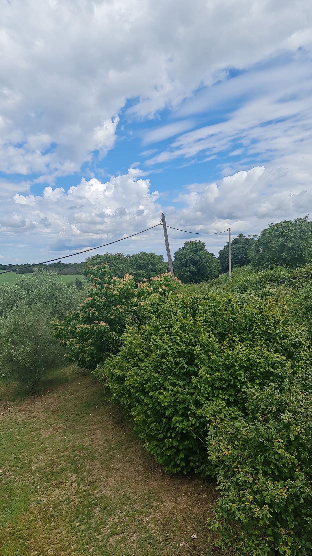 1A  · Comfort apartment with Vineyard view