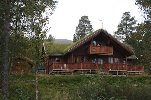 Large cabin by majestetical Kinnpiken, free wifi