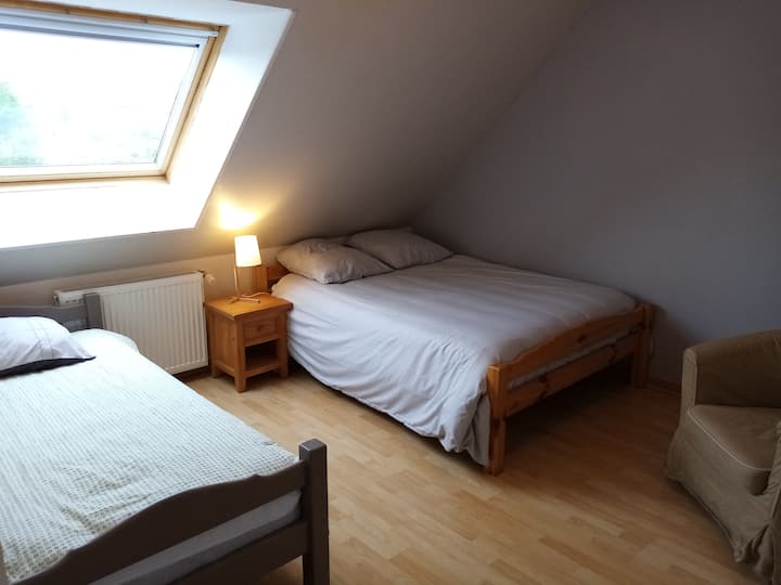 Habitación 3