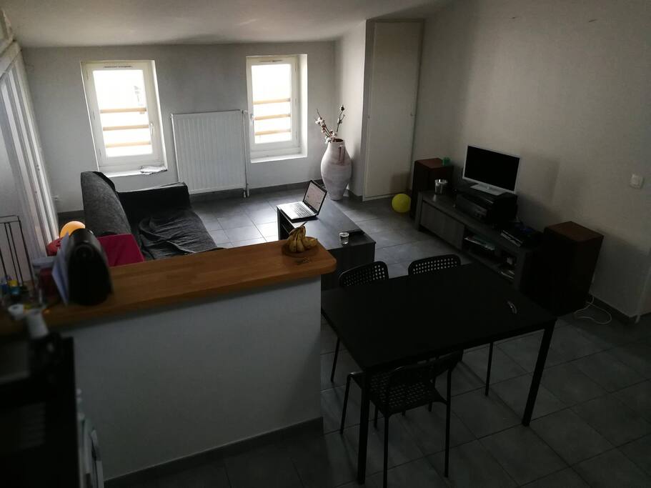 Salon et cuisine tout équipes : wifi, TV, enceintes, four, micro-ondes, frigo, plaques de cuisson...