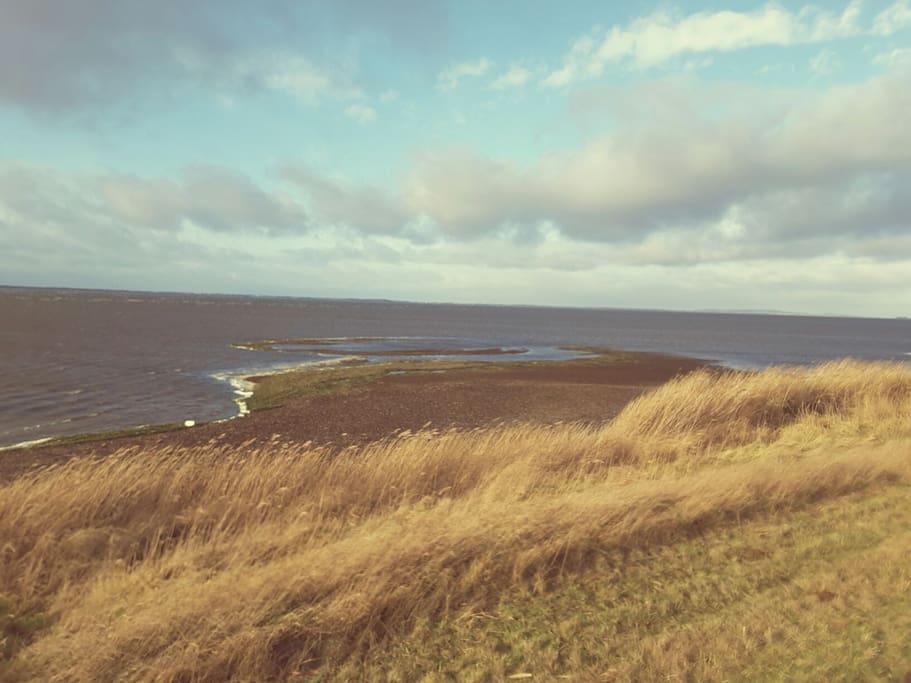 Nahgelegener Nationalpark Vorpommersche Boddenlandschaft